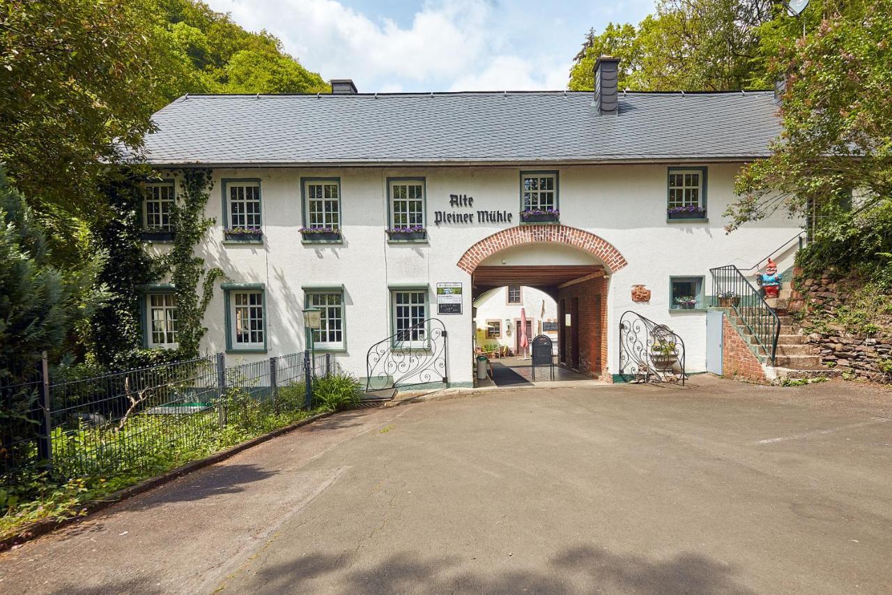 Ferienwohnung "Alte Pleiner Muehle" Экстерьер фото